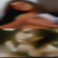 Cunts clubs older chat hot