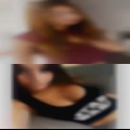 Bulls and horny wives looking